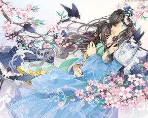 大奶牛导航网页版